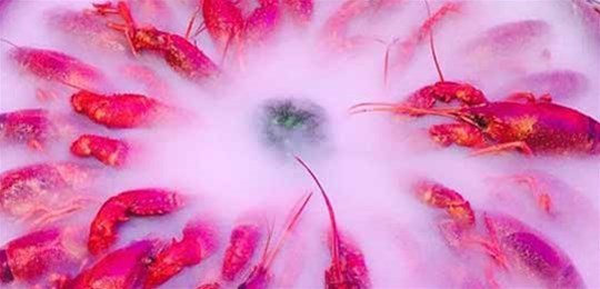 如何選擇山西高純氣體管道配管及附件材料？